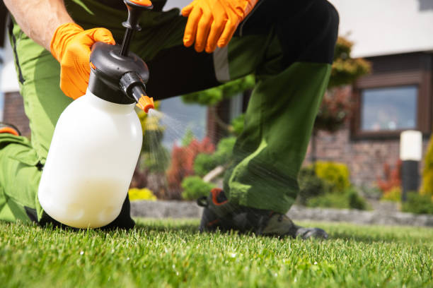 Best Best Pest Control Companies  in North Lima, OH