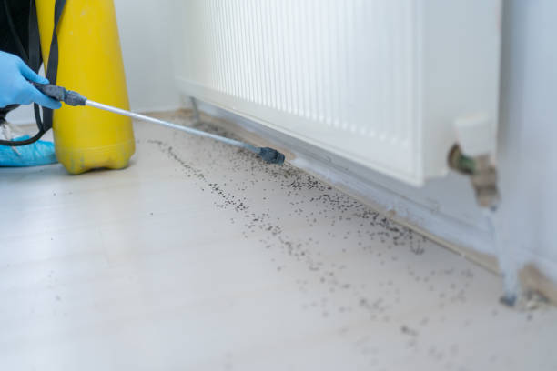 Best Wildlife Control Services  in North Lima, OH